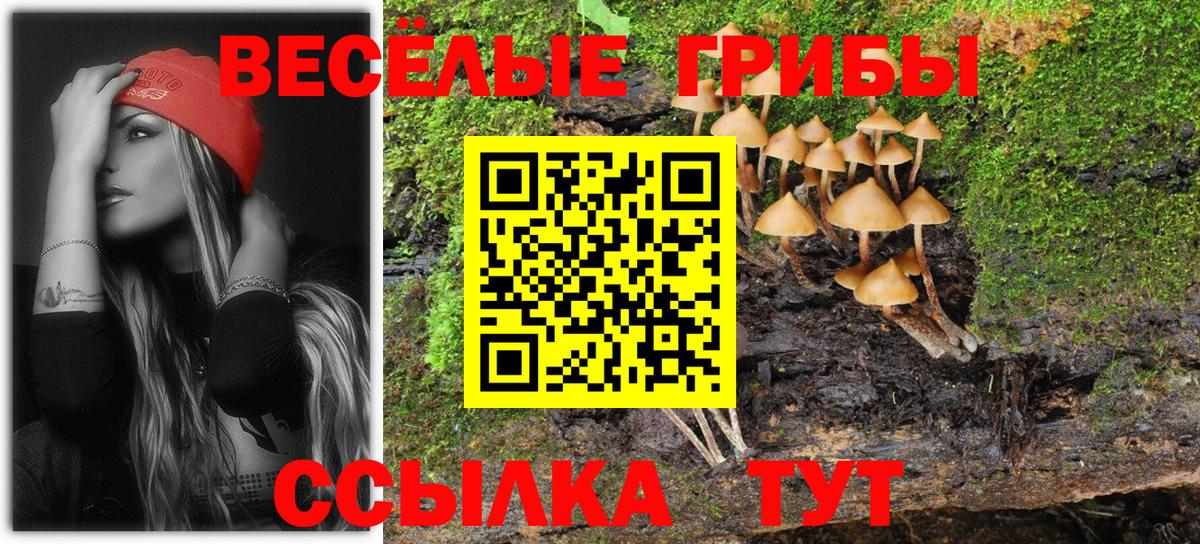 Галлюциногенные грибы GOLDEN TEACHER Набережные Челны